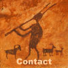 Contact Dan Metz